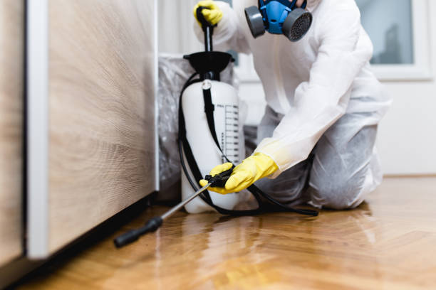 Best Bed Bug Extermination  in Lisle, IL