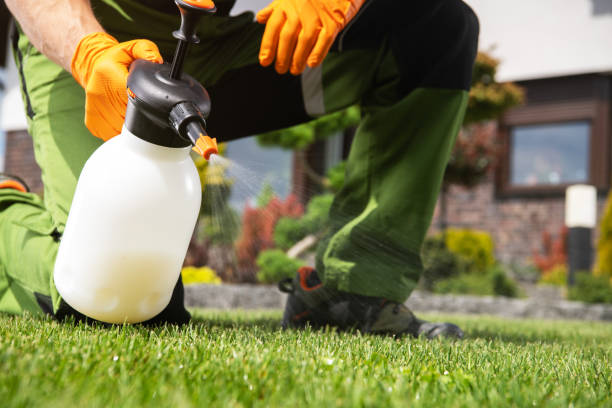 Best Affordable Pest Control Services  in Lisle, IL