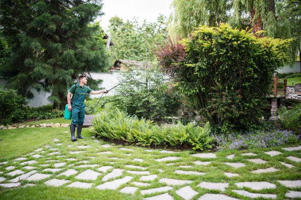 Best Emergency Pest Control  in Lisle, IL