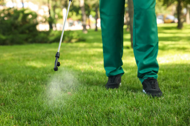 Best Residential Pest Control  in Lisle, IL