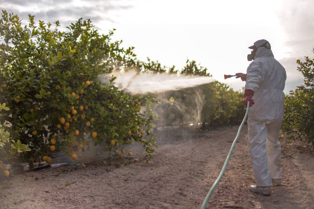 Best Mosquito Control Services  in Lisle, IL