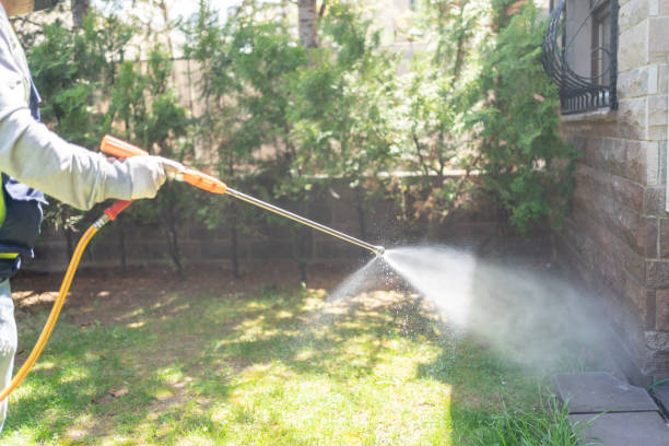 Best Local Pest Control Services  in Lisle, IL