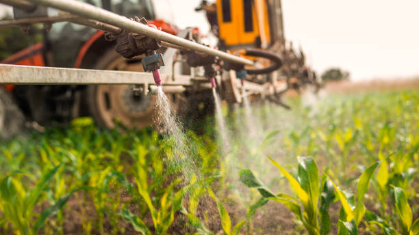 Best Ant Control Services  in Lisle, IL